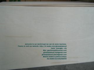 poplar plywood