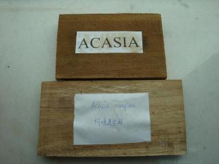 ACASIA,˼ľ